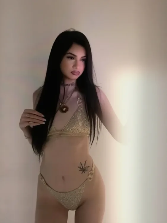 Escortă Sector 1 — Profil