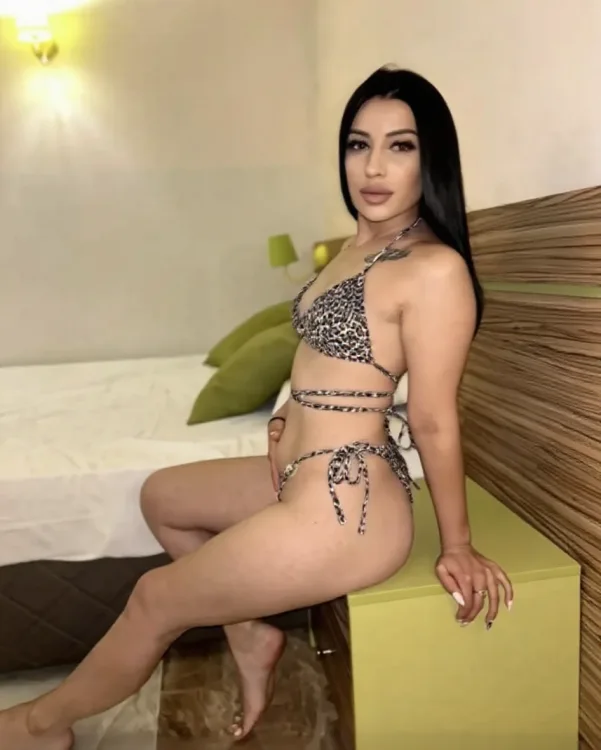 Escortă Sector 4 — Profil