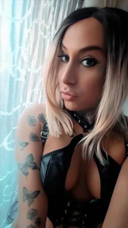 Escortă Brașov — Profil
