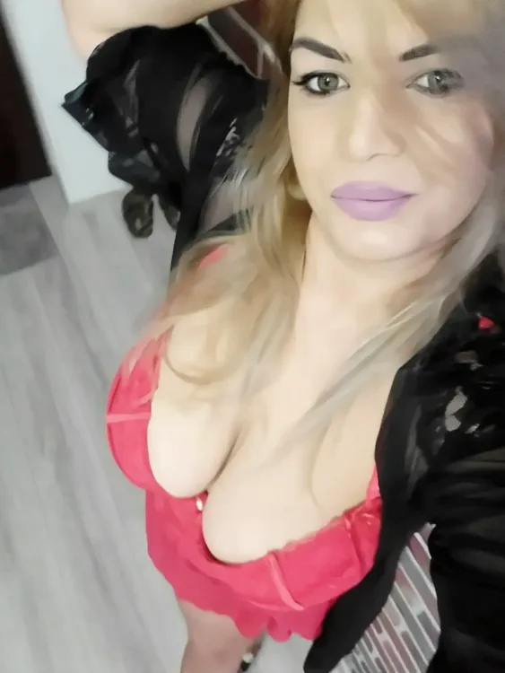 Escortă Bistrița — Profil
