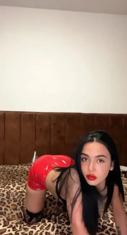 Escortă Oradea — Profil