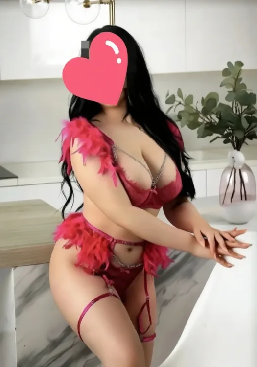 Escortă Curtea de Arges — Profil