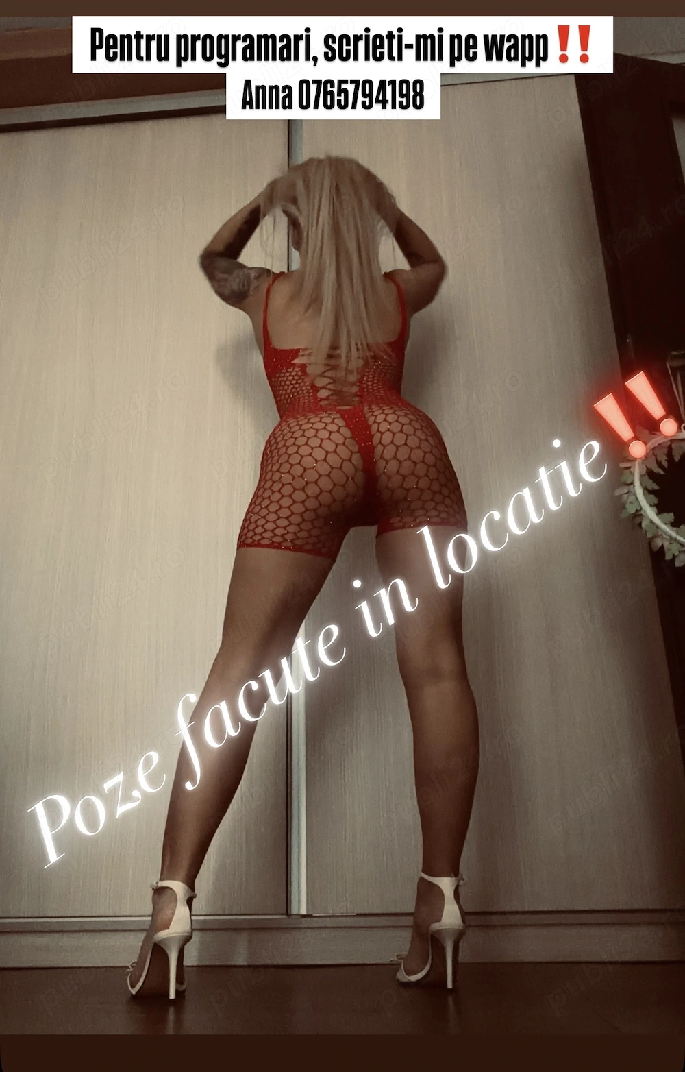 Fotografie profil escortă Escortă în Timișoara, România 2