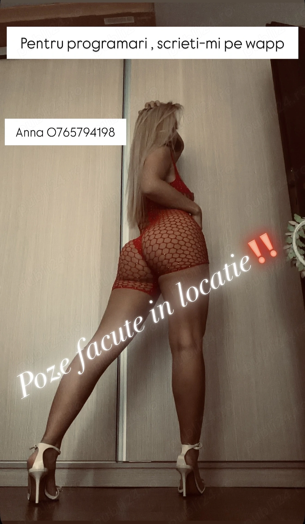 Fotografie profil escortă Escortă în Timișoara, România 5