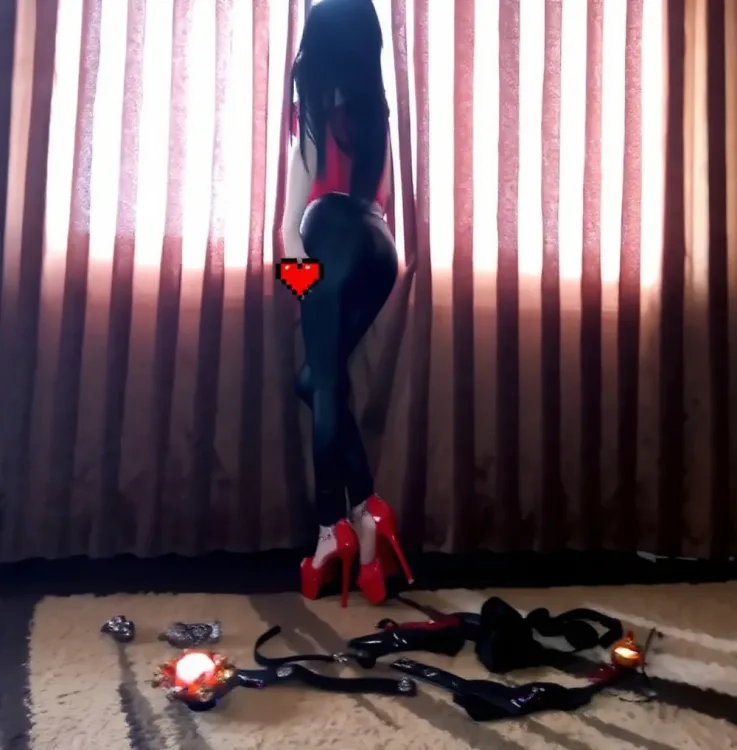 Escortă Timișoara — Profil