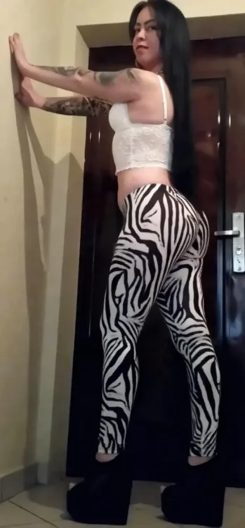 Escortă Timișoara — Profil