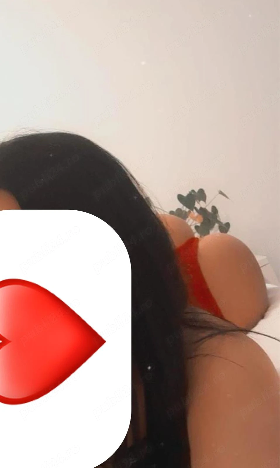 Fotografie profil escortă Escortă în Alexandria, România