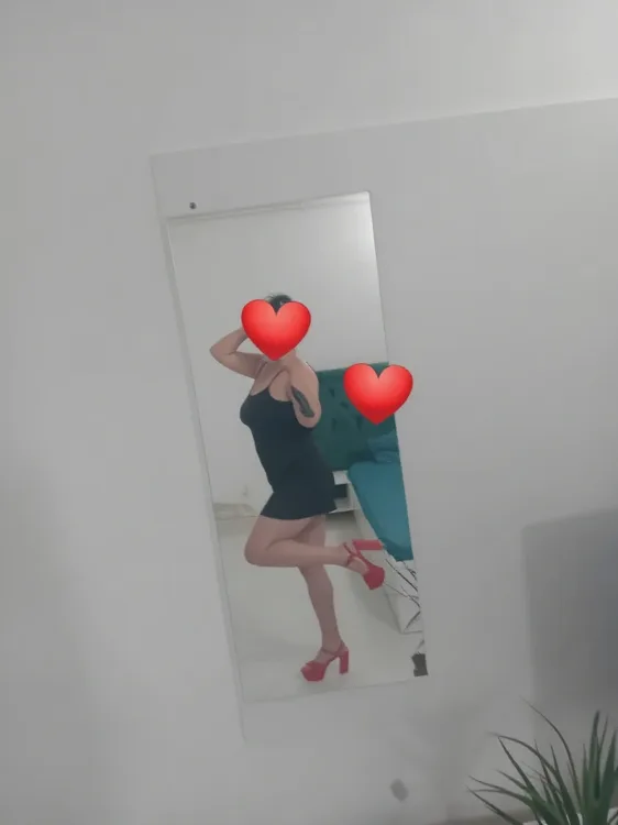 Escortă Sibiu — Profil
