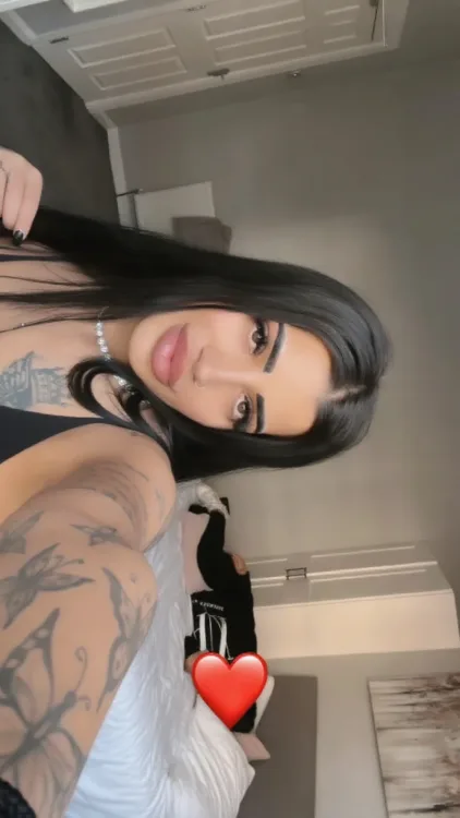 Escortă Ploiești — Profil
