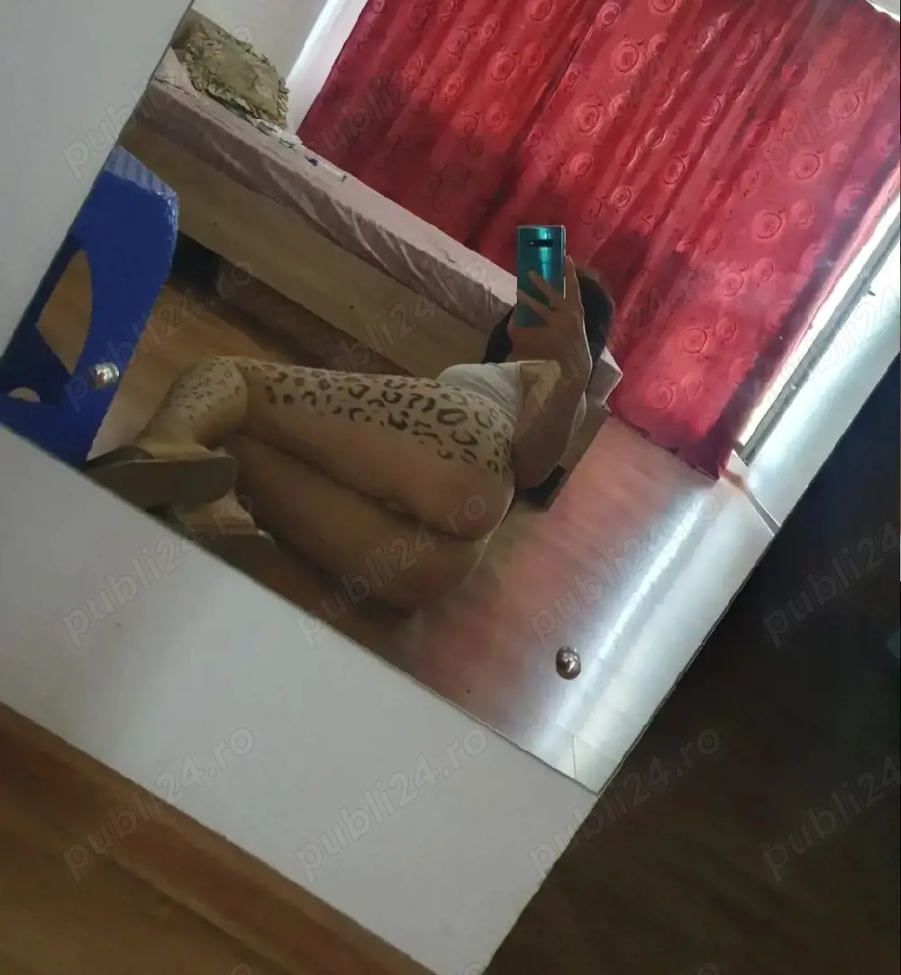 Fotografie profil escortă Escortă în Baia Mare, România 4