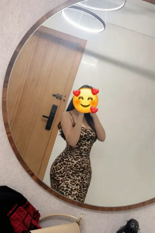 Escortă Iași — Profil