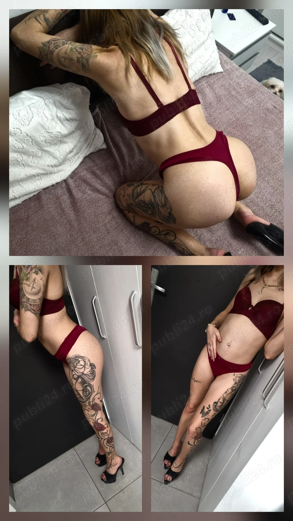Fotografie profil escortă Escortă în Iași, România 4