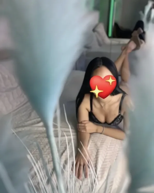 Escortă Iași — Profil