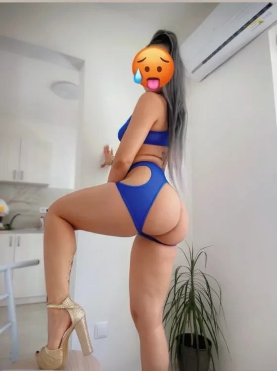 Escortă Targu Jiu — Profil