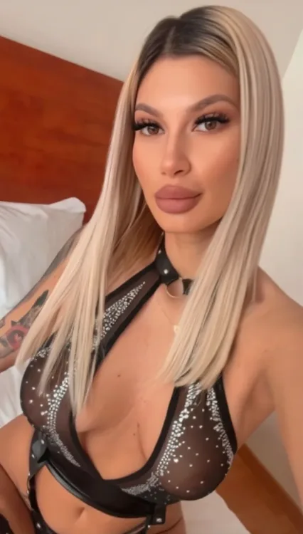 Escortă Targu Jiu — Profil