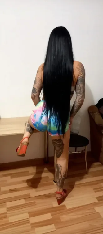 Escortă Craiova — Profil
