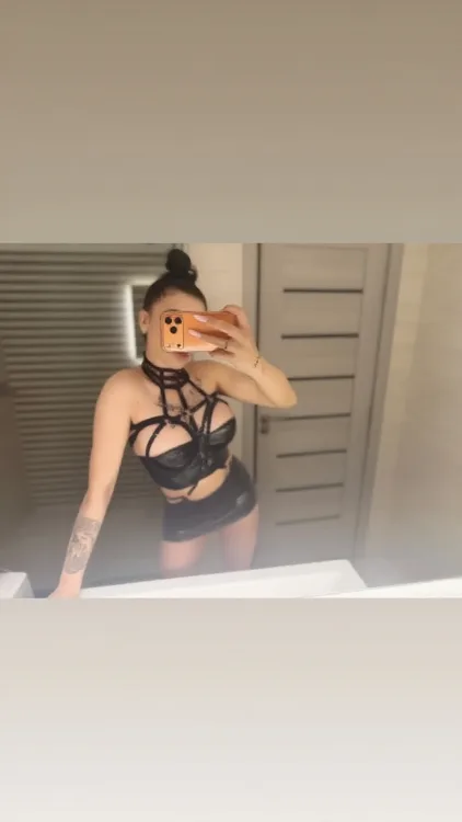 Escortă Râmnicu Vâlcea — Profil