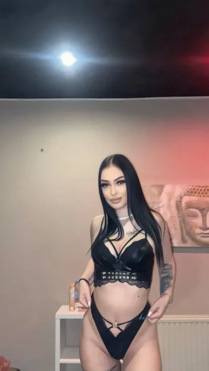 Escortă Timișoara — Profil