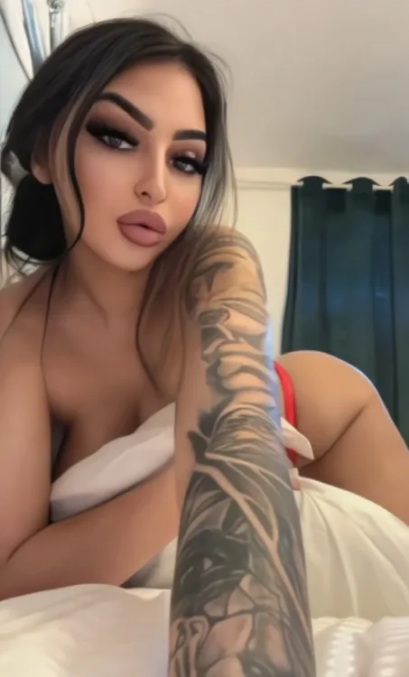 Escortă Sibiu — Profil