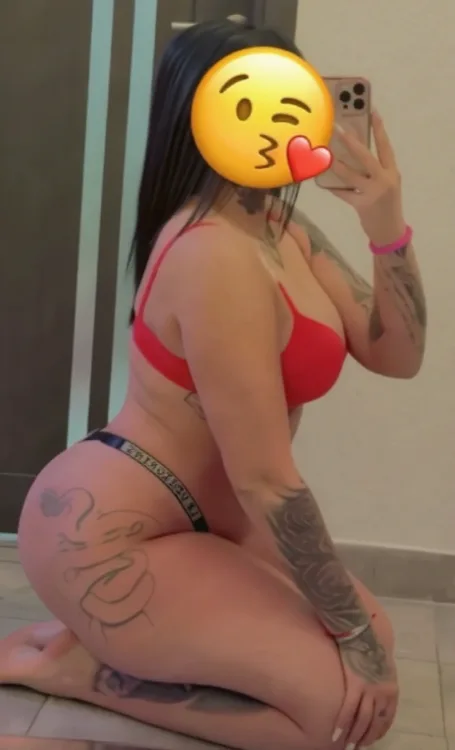 Escortă Vaslui — Profil