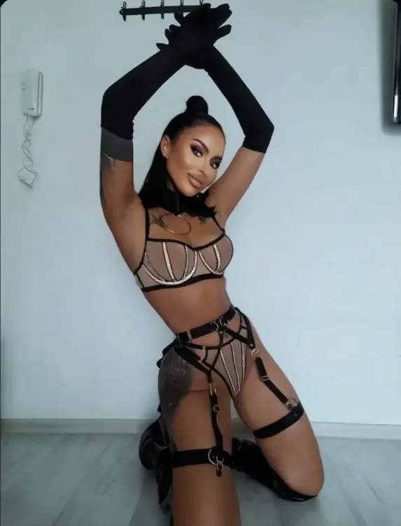 Escortă Sibiu — Profil