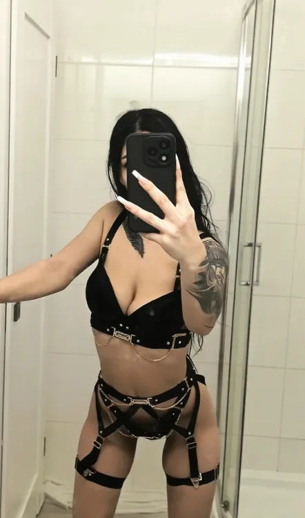 Escortă Iași — Profil