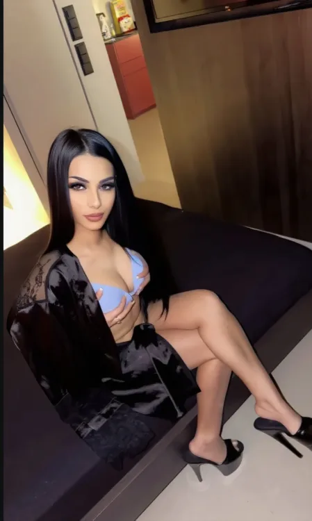Escortă Iași — Profil