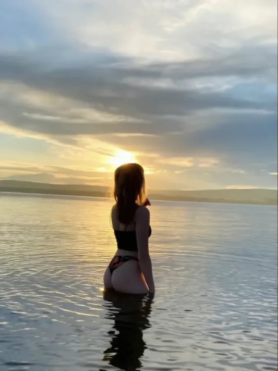 Escortă Iași — Profil