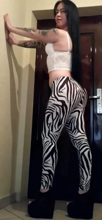Escortă Craiova — Profil