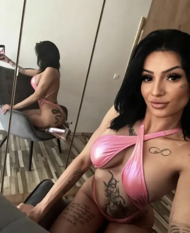 Escortă Arad — Profil