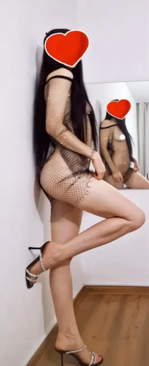Escortă Sector 6 — Profil