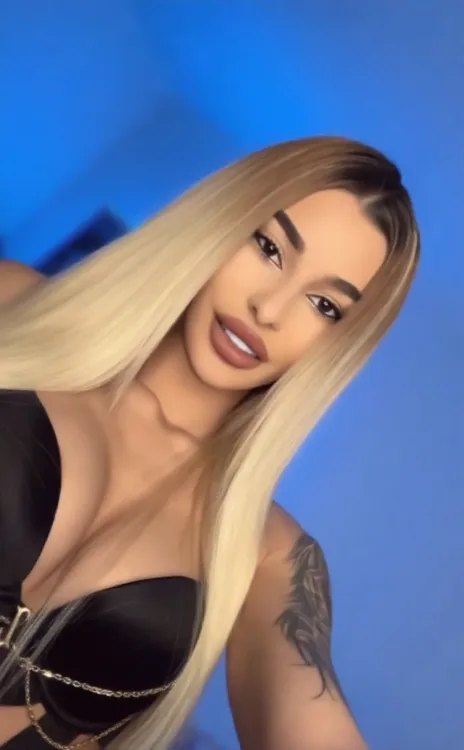 Escortă Sector 6 — Profil