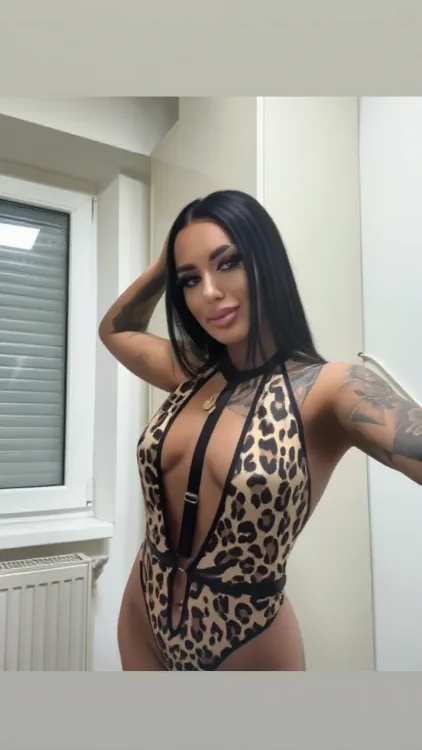 Escortă Calarasi — Amyra