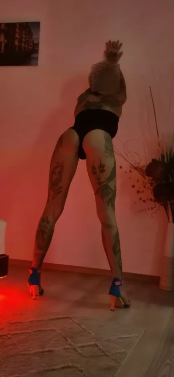 Escortă Sector 1 — Profil