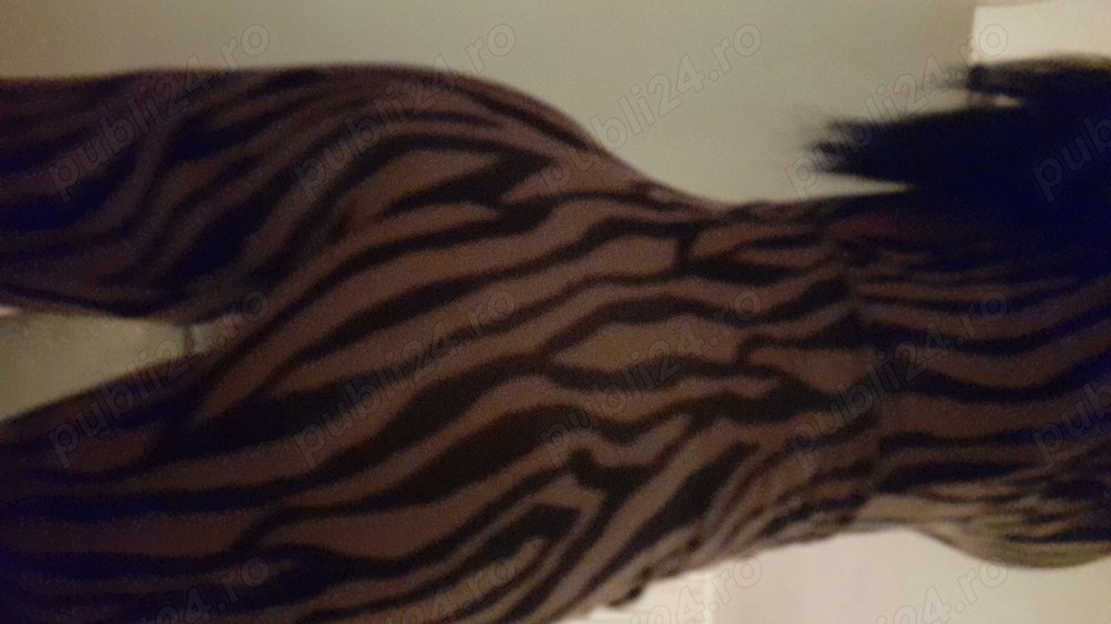Fotografie profil escortă Escortă în Sector 3 Sector 3