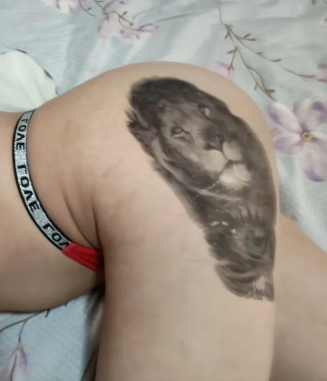 Escortă Sector 4 — Profil