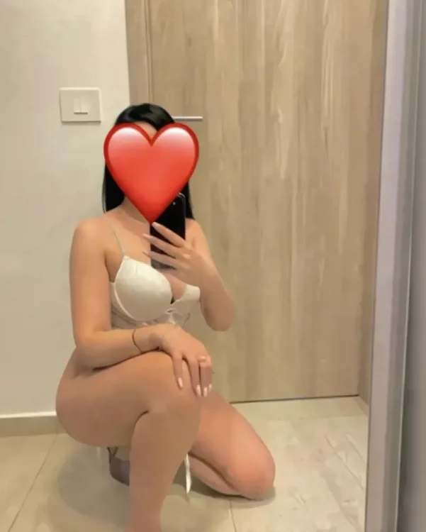 Escortă Sector 4 — Profil
