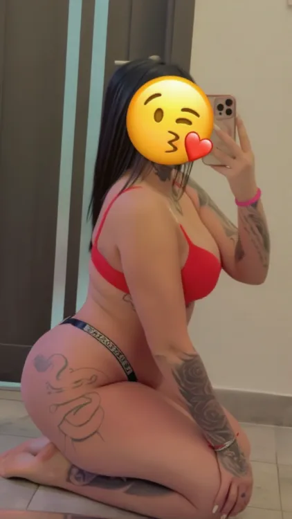 Escortă Brăila — Profil