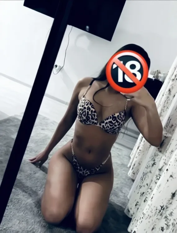 Escortă Fagaras — Profil