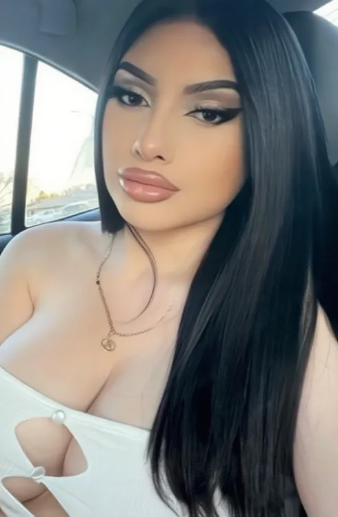 Escortă Arad — Profil