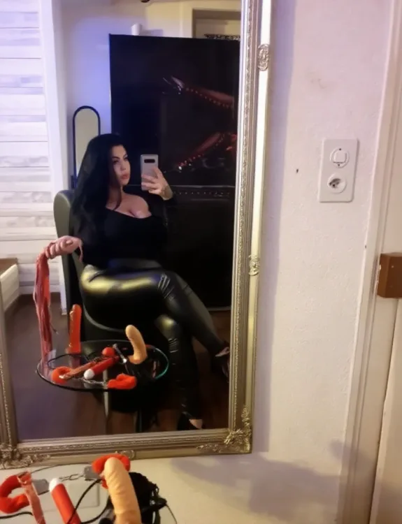 Escortă Arad — Profil