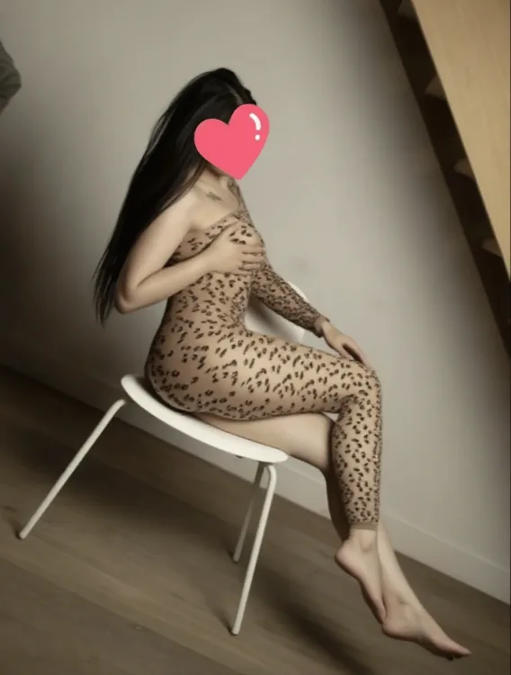 Escortă Arad — Profil